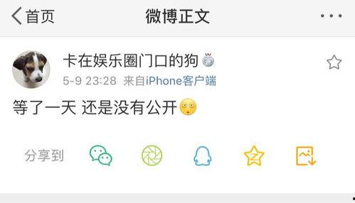 吃瓜系统爆料渠道,独家爆料，娱乐圈幕后真相大曝光